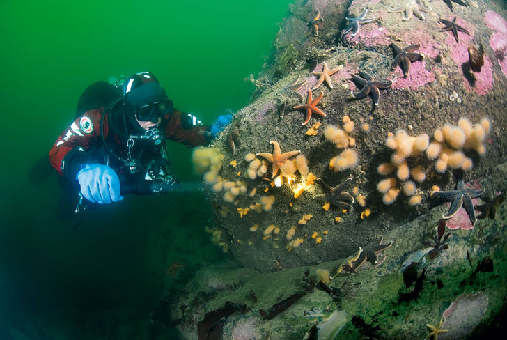 Lysekil – mangfoldighed på Sveriges vestkyst Lysekil – mangfoldighed på Sveriges vestkyst