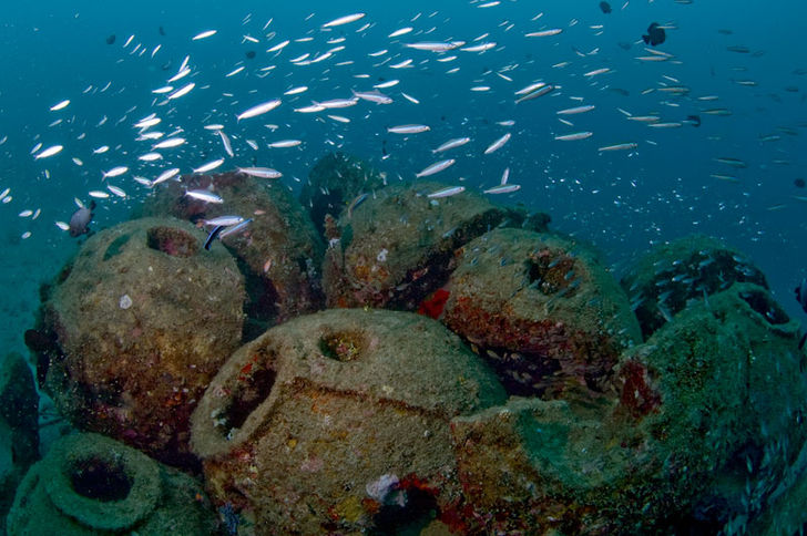 Mange steder han man sænket udtjente skibe for at give successionen bedre kår. På andre lokaliteter anvendes sten, bildæk eller reef balls af beton som her på Sulawesi. Naturklumme – succession i havet