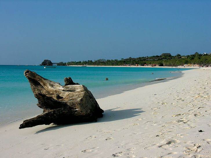 Zanzibar – fuld fart under overfladen