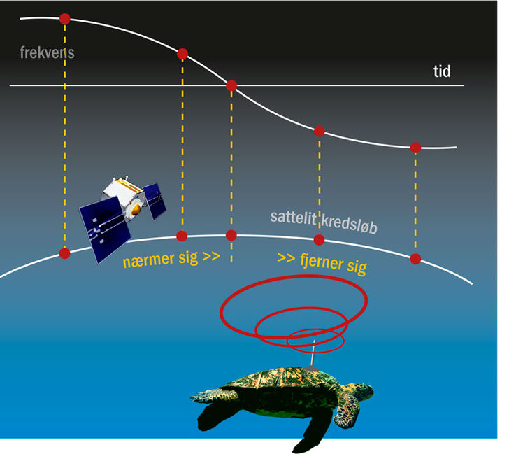 Princippet bag dopplereffekten. Satellitten modtager forskellige frekvenser fra senderen afhængigt af dens position. Ved forskellige frekvenser kan afstanden imellem sender og satellit udregnes. Hvis satellitten når at modtage flere signaler på sin overflyvning, kan senderens lokaliseres ganske præcist. Naturklumme – hjælp fra rummet