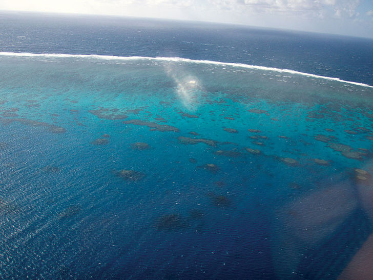 Et af de 2900 rev, der tilsammen udgør verdens største revsystem. Great Barrier Reef – i en klasse for sig