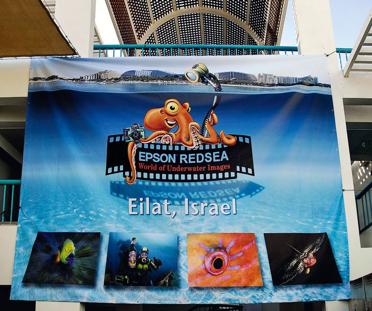 Epson Red Sea-konkurrencen fandt sted for femte år i træk. Den omfatter dels en indsendelsesdel (Images of the World), som er åben for alle, samt en ”på stedet”-konkurrence (Eilat Shoot-Out). Eilat Shoot-Out 2009 – Rapport fra vinderne i DYK