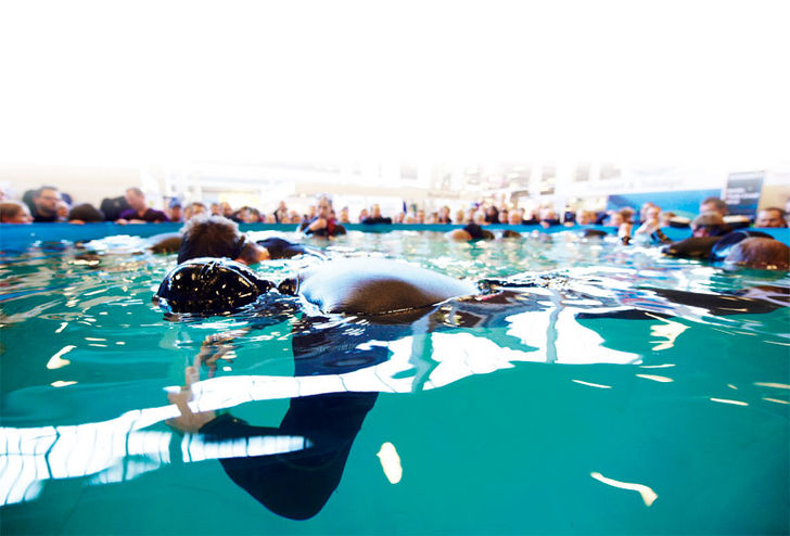 Copenhagen Diveshow – sådan en smule sne ...