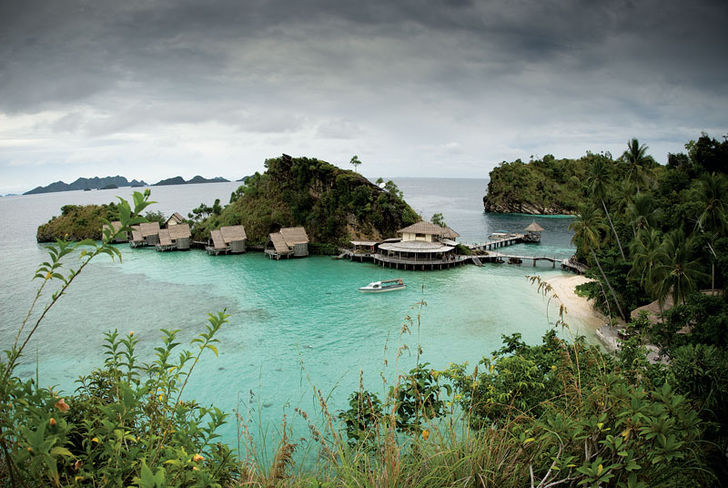Raja Ampat – i wobbegongernes verden