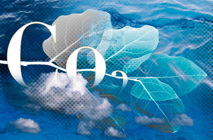 Kuldioxid – Den onde cirkel Kuldioxid – Den onde cirkel