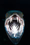 Portfolio – Christian Loader Portfolio – Christian Loader