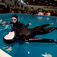 Man kommer ikke sovende til toppræstationer inden for fridykning. Havfruerne slapper af inden deres opvisning. Copenhagen Diveshow 2008 – så’ der poolparty igen