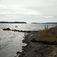 Kystleksikon #71 – Måle Strand Nordøstfyn Kystleksikon #71 – Måle Strand Nordøstfyn