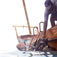 Zanzibar – fuld fart under overfladen