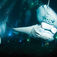 Konas venlige og elegante mantarokker fouragerer i dykkernes lyskegler.
Hawaii after dark – nattens væsener