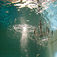 The underwater stage – hvor uv-stunts bliver til filmvirkelighed