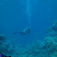 Dahab à la tech – at rejse med rebreather