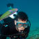 The Big Three på Ningaloo Reef – Hvalhaj, pukkelhval og manta på Australiens ves