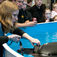Maria Livbjerg fra fridykkerlandsholdet coacher en af sine holdkammerater i poolen.
Copenhagen Diveshow 2009 – Krise? Hvaffor en krise?