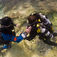 Er man rebreather-jomfru, bliver man overrasket på de første par dyk. Man kan ikke længere fintrimme sin opdrift med sit lungevolumen. Poseidon Discovery CCR – hellukket sportsdykker-rebreather