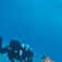 Dykket på WWII-flyvraget Bristol Beaufighter på 38 meters dybde kan godt laves som fritidsdykker, men allerede en PADI Tec40-dykker vil have langt mere overskud, længere bundtid og flere alternativer i en nødsituation. Dykket på WWII-flyvraget Bristol Beaufighter på 38 meters dybde kan godt laves