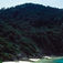 Similan-øerne – de smukkeste dyk på den thailandske vestkyst Similan-øerne – de smukkeste dyk på den thailandske vestkyst