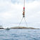 Fire dykkere gør sig klar til elevatorturen ned til bunden. Der er der mulighed for at tilbringe kvalitetstid med et af havenes mest imponerende rovdyr. Hvidhajen – herskeren af Neptune Islands