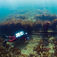 Kanonvragene i Øresund – og slaget ved København 1801