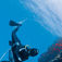 Monkey Diving – join the revolution