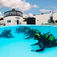 Lanzarote – Dykning, motion og familiehygge 