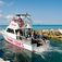 Bahamas – i hajcirkus hos Stuart Cove
