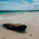 Thailand – velsignet med to rige oceaner