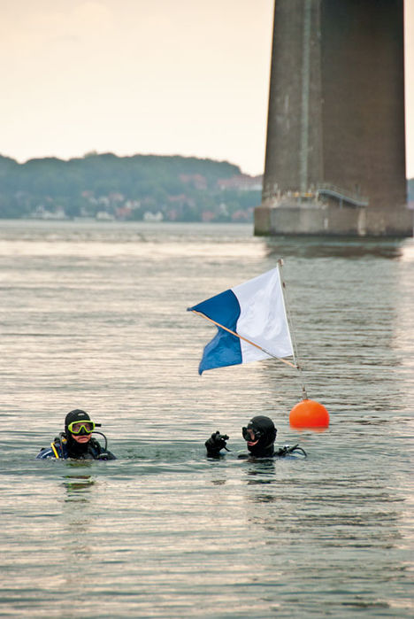 Endnu et godt dyk ved Søbadet skal til at tage sin begyndelse. Dykningens Dag 2011 – Søbadet var midtpunkt
