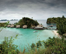 Raja Ampat – i wobbegongernes verden Raja Ampat – i wobbegongernes verden