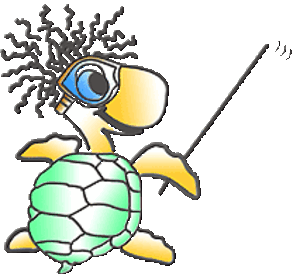 Wild Turtle Dive Tobago