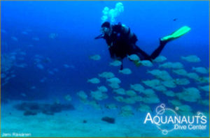 Aquanauts Dive Center