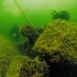 Vragleksikon #66 - M/S Kai