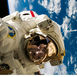 Space walk under vandet – NASA Neutral Buoyancy Laboratory Space walk under vandet – NASA Neutral Buoyancy Laboratory