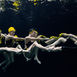 The underwater stage – hvor uv-stunts bliver til filmvirkelighed The underwater stage – hvor uv-stunts bliver til filmvirkelighed