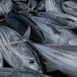 WWF-klumme – Mere ligelig fordeling af goderne