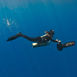 Monkey Diving – join the revolution