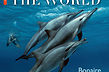 DIVE THE WORLD udkommer