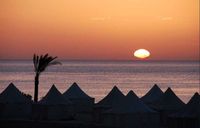 Marsa Alam Foto: Jesper Kjøller