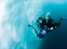 Antarktis – verdens sydligste dykkevand 