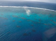 Great Barrier Reef – i en klasse for sig 