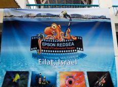 Eilat Shoot-Out 2009 – Rapport fra vinderne i DYK