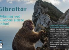 Gibraltar – Dykning ved Europas sidste koloni
