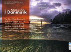 Artsdiversitet i Danmark