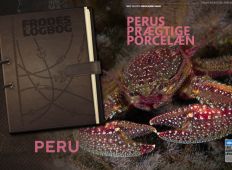 Perus prægtige porcelæn – Fra Frodes logbog