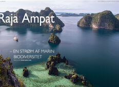 Raja Ampat – en strøm af marin biodiversitet 