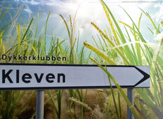 Havets børneværelse