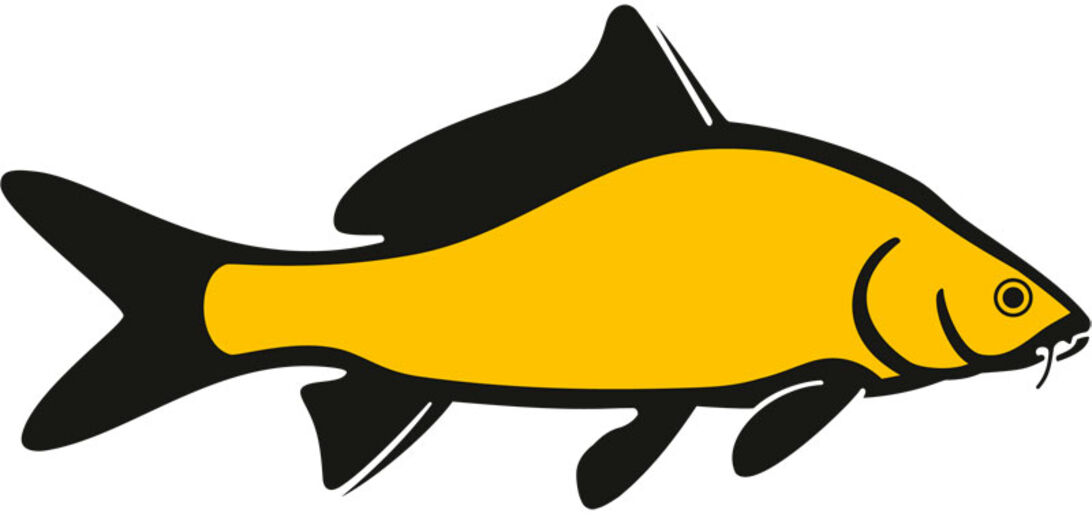 WWF-klumme – hva’ for en fisk?