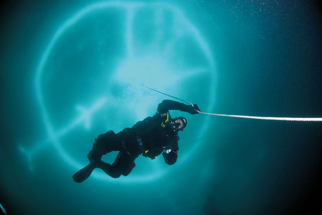 Grønland – en ukendt undervandsverden