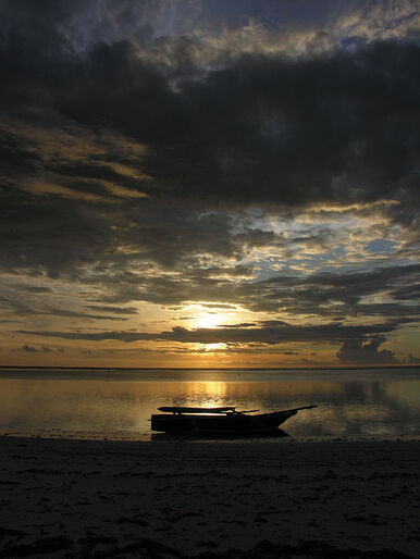 Zanzibar – fuld fart under overfladen