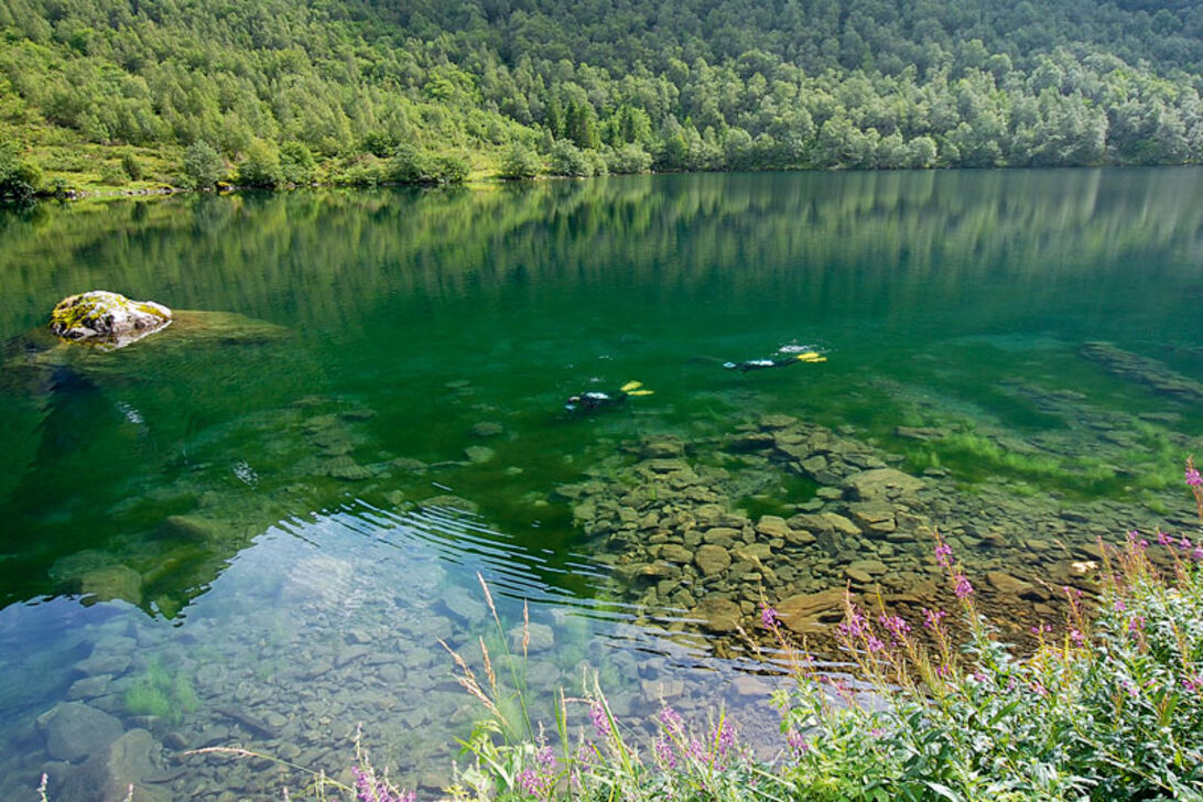 Lyngstøylsvatnet – dykning i den norske troldeskov 